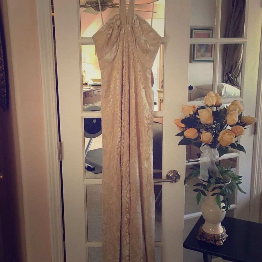 Carmen Marc Valo Collection Velvet tie back gown.